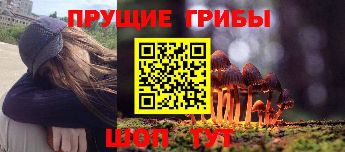 Галлюциногенные грибы MAGIC MUSHROOMS Дзержинский
